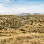 samburu-hills-lewa-wildlife-conservancy-isiolo-kenya-[david-clode--unsplash]